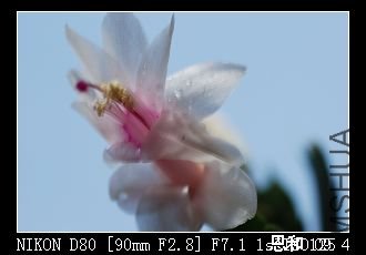 DSC_0005.jpg