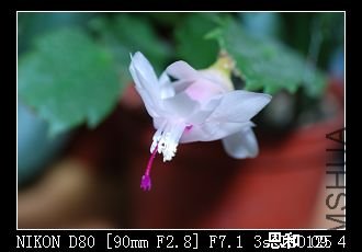 DSC_0012.jpg