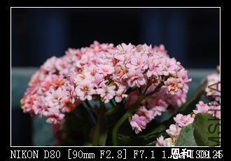 DSC_0009.jpg
