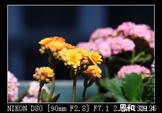 DSC_0008.jpg
