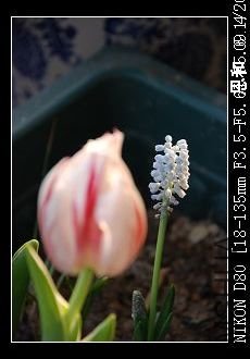 DSC_0016.JPG