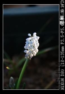 DSC_0015.JPG