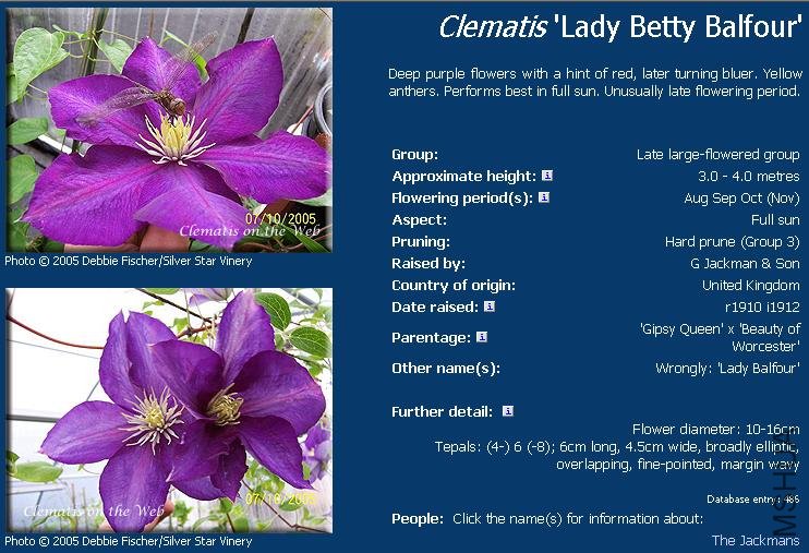 Lady Betty Balfour(Ӣ������).JPG