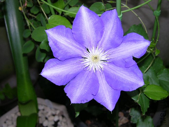 DSCN3914.JPG