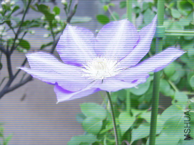 DSCN3915.JPG