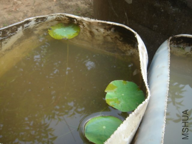 DSC03558.JPG
