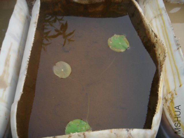 DSC03557.JPG