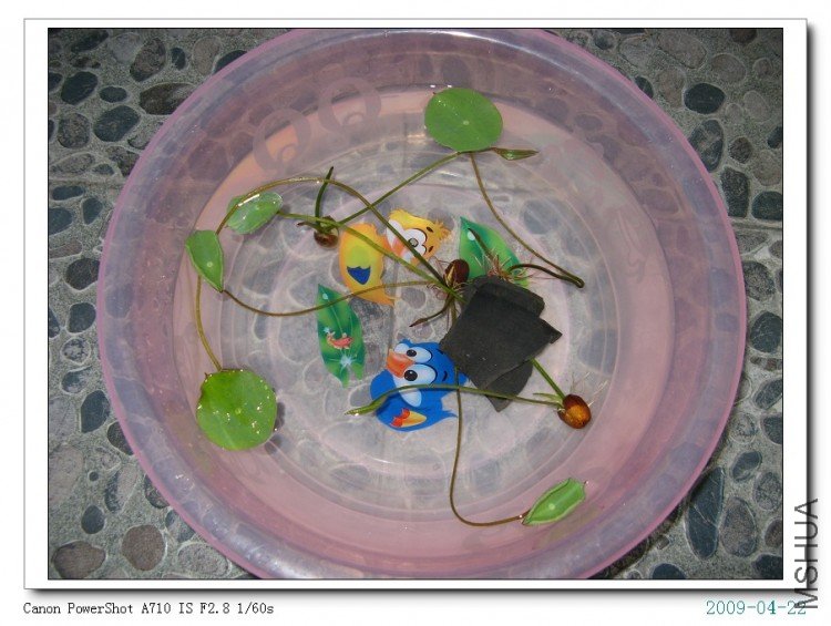 ��������ļһ���������ˣ�