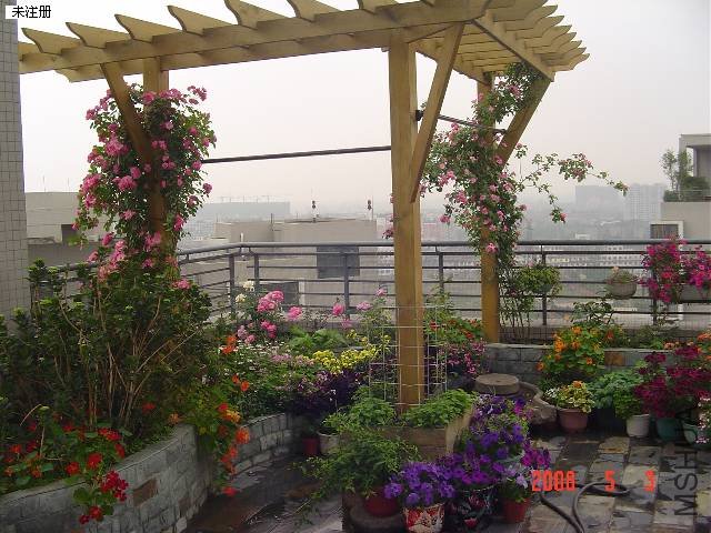DSC09680.JPG