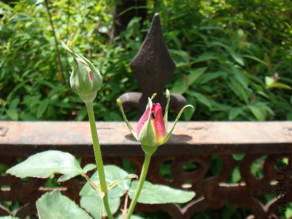 �ú��Ӱ���ɯ�ֿ�