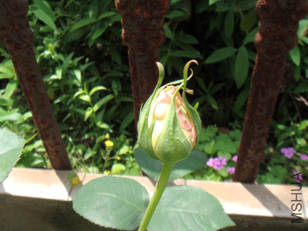 �����¼�