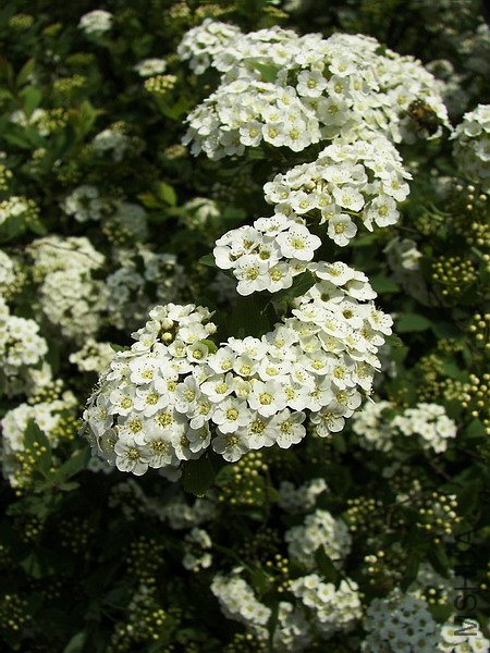 102_5627.jpg