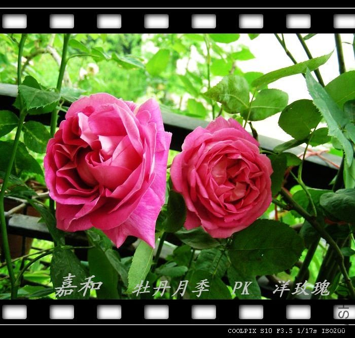 nEO_IMG_090304 634.jpg