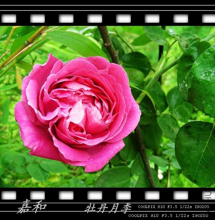 nEO_IMG_090304 630.jpg