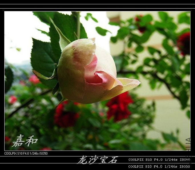 nEO_IMG_��ɳ2.jpg