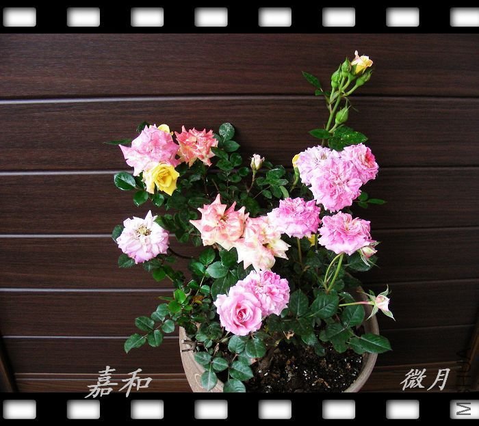 nEO_IMG_090304 644.jpg