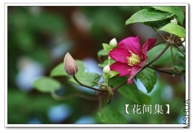 IMG_4244 ����.jpg