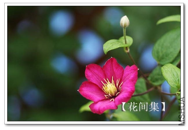 IMG_4286 ����.jpg