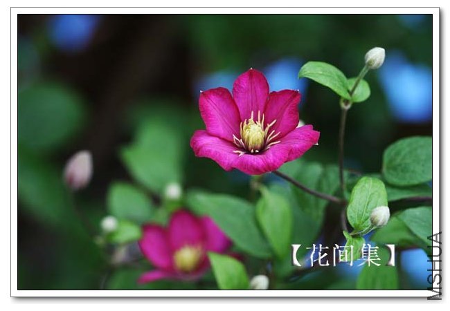 IMG_4284 ����.jpg