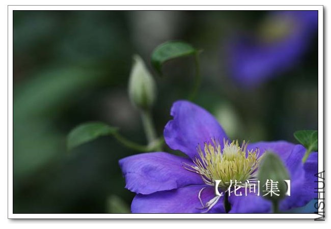 IMG_4277 ����.jpg