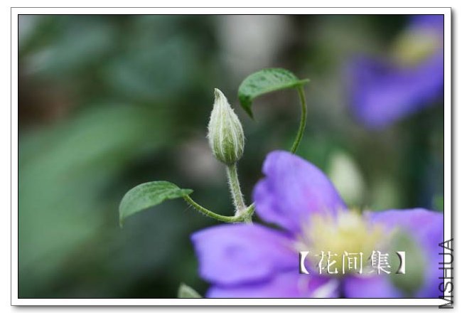 IMG_4276 ����.jpg