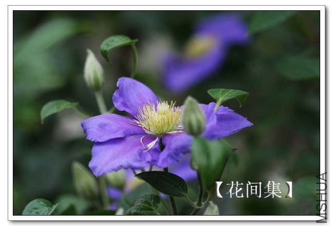 IMG_4275 ����.jpg