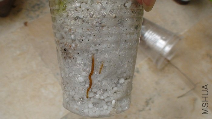 ��˵˵Ǥ���С��, �Ѿ��������������ڱ�������.