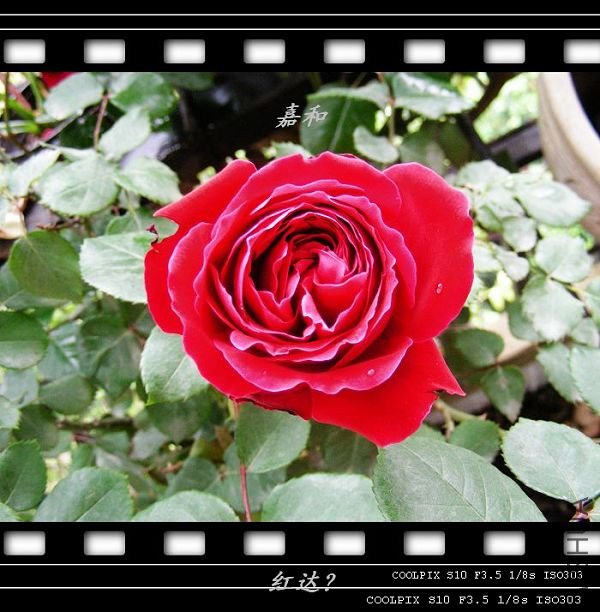 nEO_IMG_090304 619.jpg