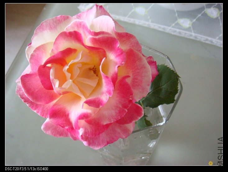 nEO_IMG_DSC02151.jpg