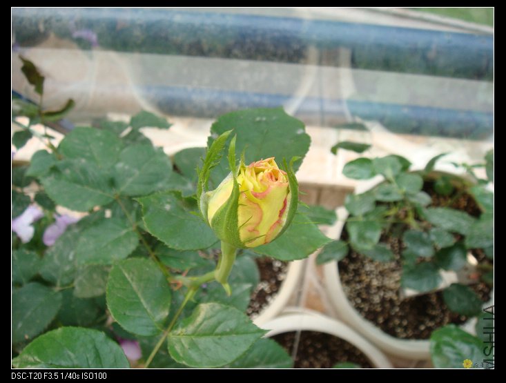 nEO_IMG_DSC02156.jpg