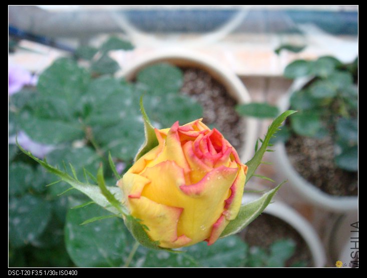 nEO_IMG_DSC02167.jpg