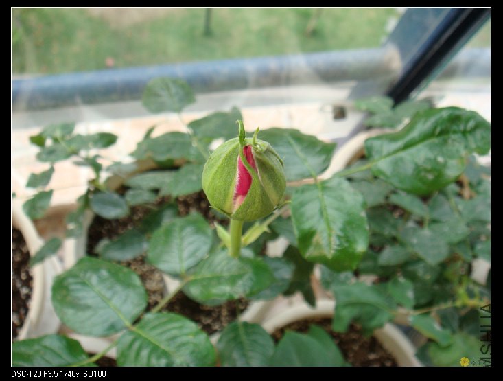 nEO_IMG_DSC02157.jpg
