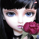 541308qq1_0743.gif