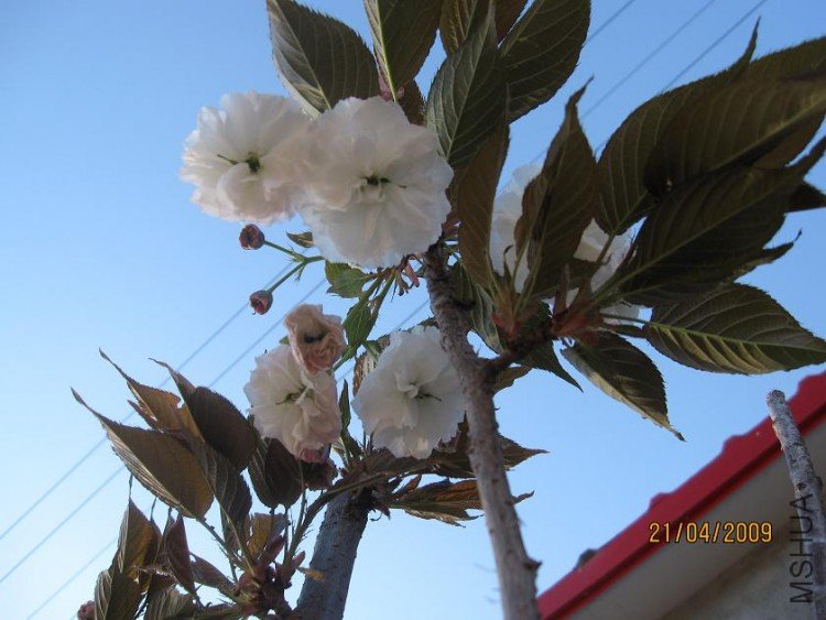 ��Ƭ 024.jpg