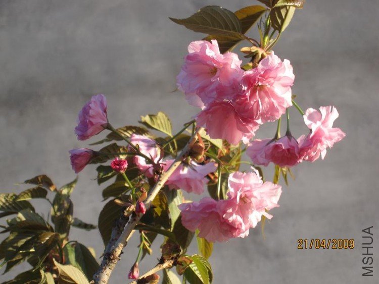 ��Ƭ 082.jpg