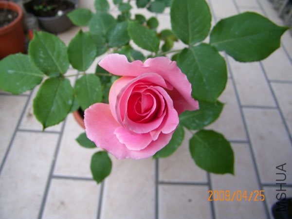 100_0226.JPG