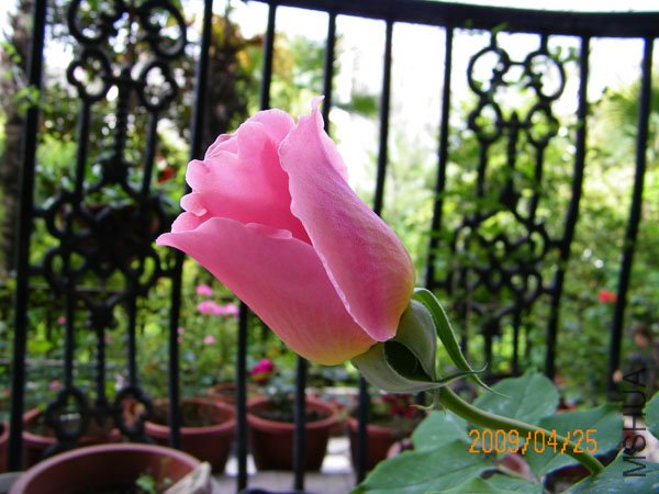 100_0227.JPG