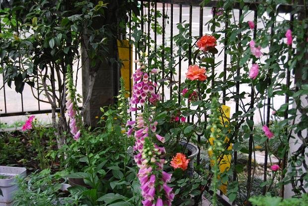 �м��ɫ���������