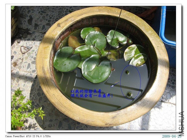 ����һ����˿��Ϊ�˵�סҶ�ӣ��������ͻ��������⣺��