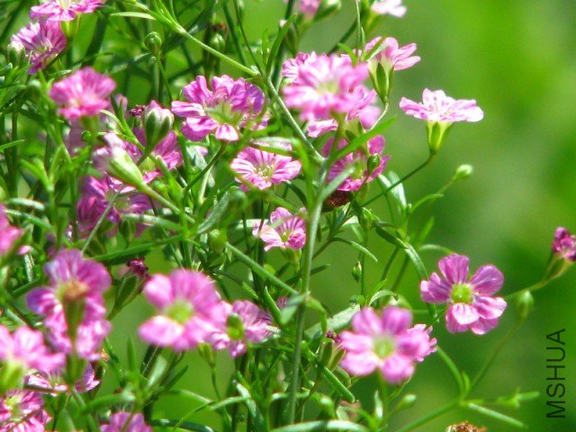 IMG_3756 [640x480].JPG