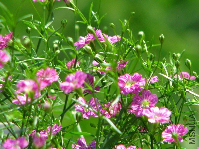 IMG_3755 [640x480].JPG