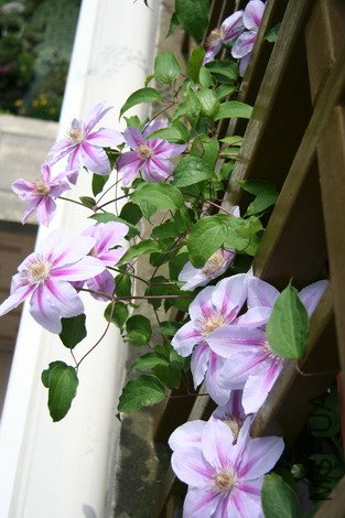 ̽�������������