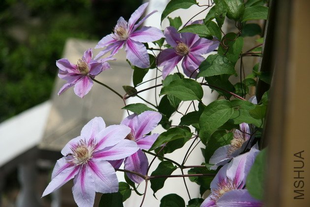 ̽�������������