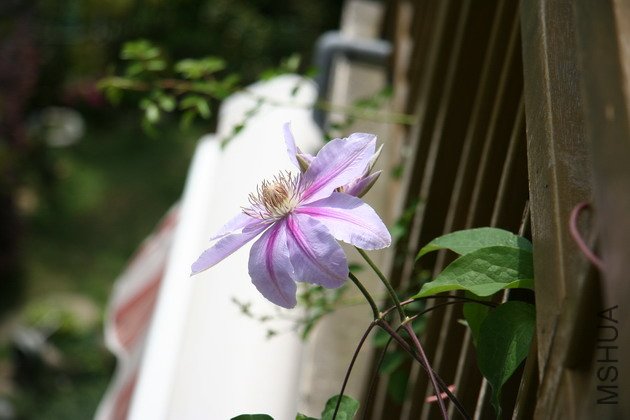 ̽�������������