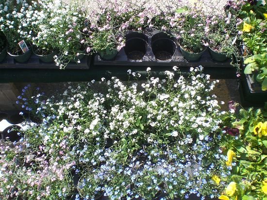 ������ɫ��������,�����������й�������.