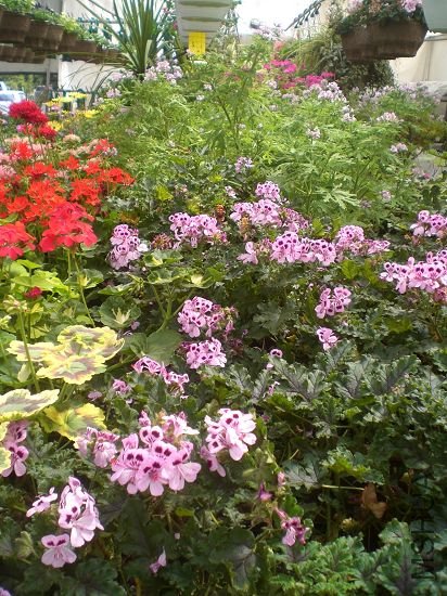 N�������ÿ�,��ϲ�����ֻ�ɫ