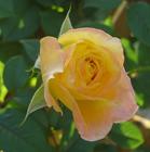 u=913379318,436542910&fm=0&gp=38.jpg