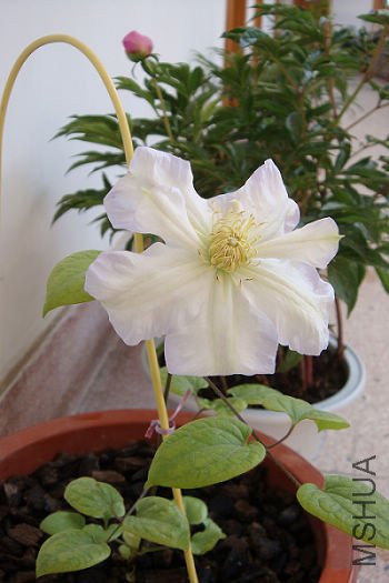 DSC00844.JPG