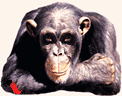 1221-061012155809.gif