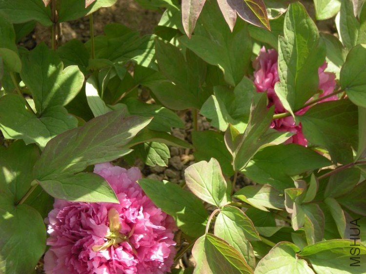 ��Ƭ 092.jpg